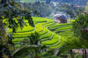 Bali-Algemeen-Bali-Vacation-Homes-21