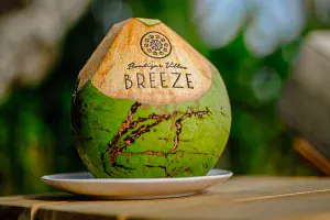Welkomstdrankje Villa Breeze I Bali